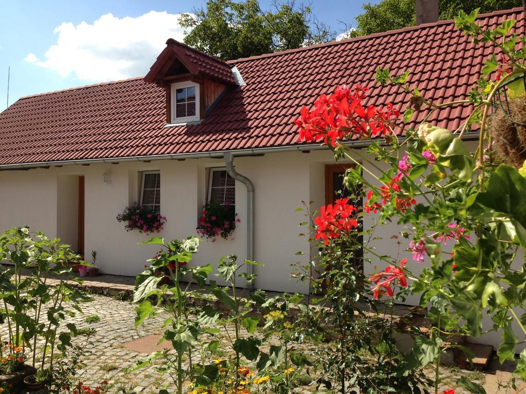 Apartmány Jílovice Esterno foto