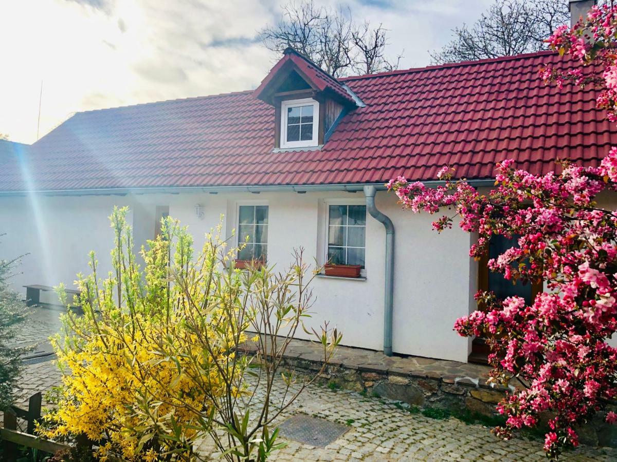 Apartmány Jílovice Esterno foto